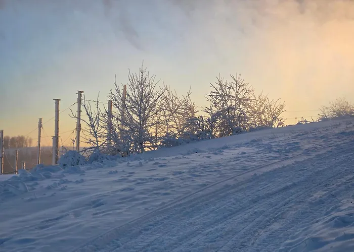 Activities & Relax Mit Privater Sauna Lägenhet